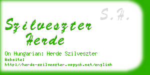 szilveszter herde business card